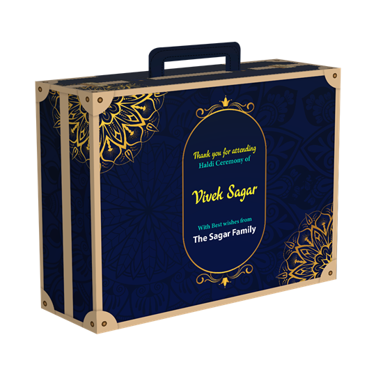 WD - Haldi - Suitcase - 20_1_-Frm_495186.png